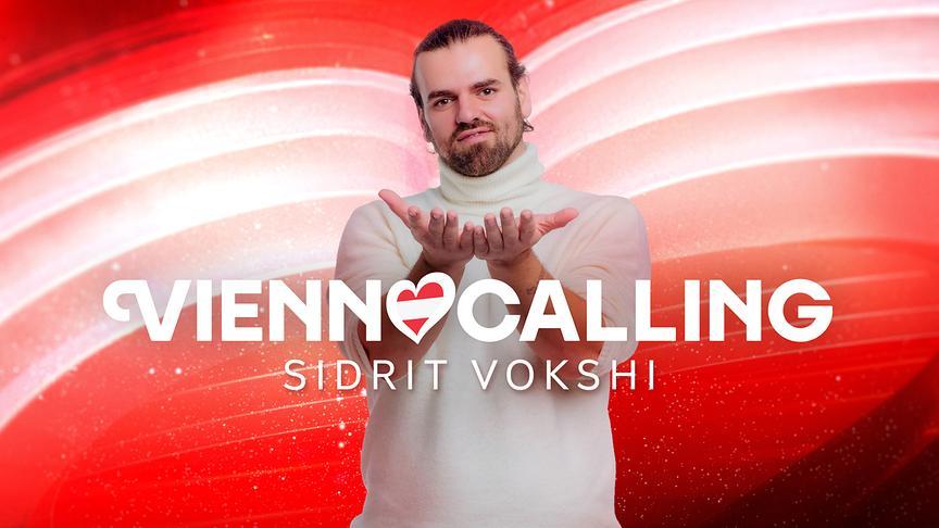 Sidrit Vokshi Portrait